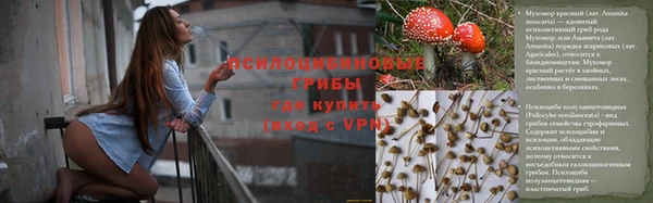 гашик Арсеньев