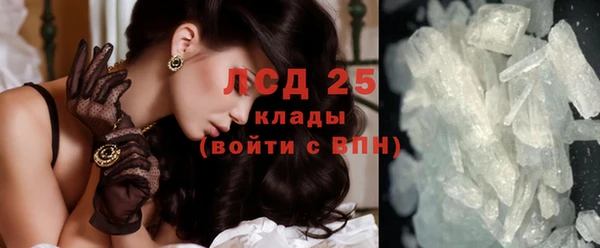 гашик Арсеньев