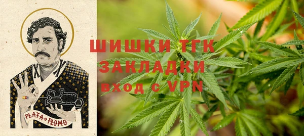 винт Аркадак