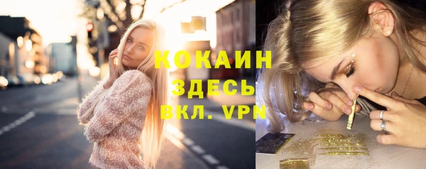 гашик Арсеньев