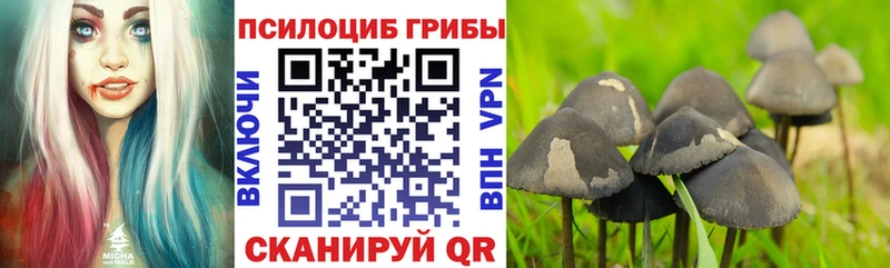 где найти   Спас-Деменск  МЕГА вход  Галлюциногенные грибы ЛСД 